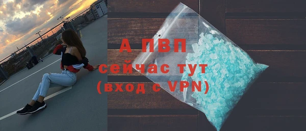 прущие грибы Волоколамск