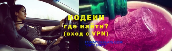 прущие грибы Волоколамск