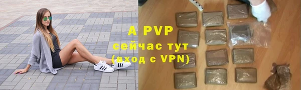 прущие грибы Волоколамск