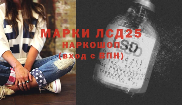 шишки Володарск