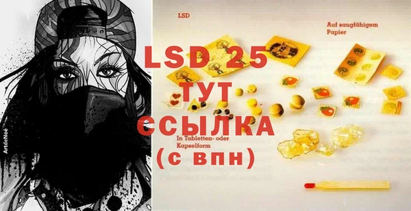 прущие грибы Волоколамск