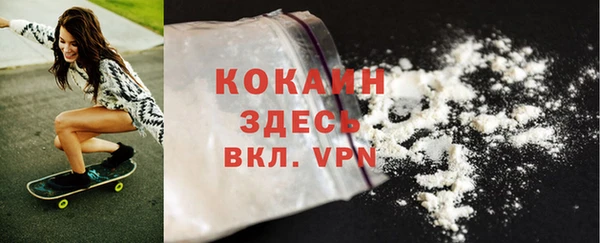 прущие грибы Волоколамск
