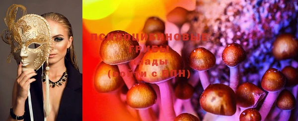 шишки Володарск