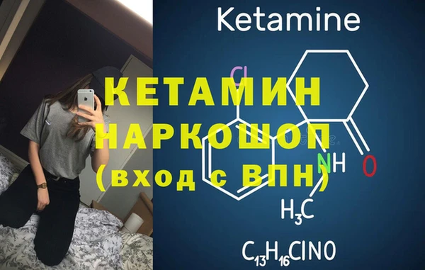 прущие грибы Волоколамск